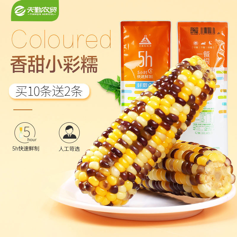 23年头茬新货天勤粒粒净新鲜非转基因真空装彩糯玉米粘早餐玉米棒