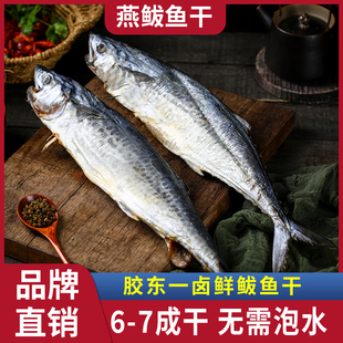 水味源 胶东一卤鲜鲅鱼干马鲛鱼干风干海鱼青岛甜晒鲅鱼干不咸鱼