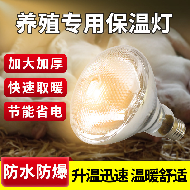 保温灯养殖场专用小鸡育雏烤灯取暖猪场灯泡加热兽用猪舍冬季保暖