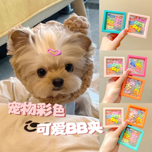 约克夏狗狗专用发夹头饰宠物bb夹发卡马尔济斯鼻梁夹卡子小狗夹子
