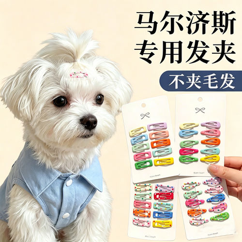 马尔济斯狗狗糖果色BB夹发卡