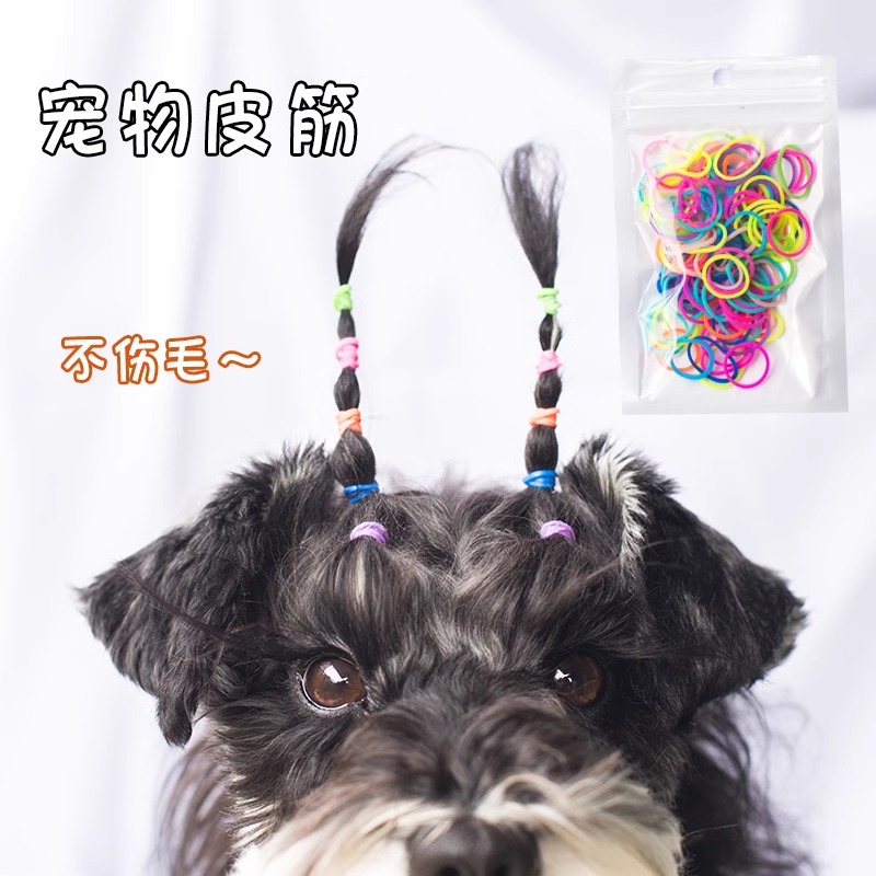 宠物皮筋狗狗橡皮筋不伤毛