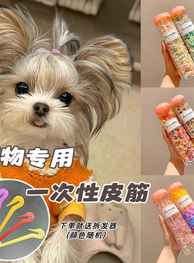 宠物专用皮筋马尔济斯约克夏扎辫子不伤毛发头绳小狗狗糖果色发绳