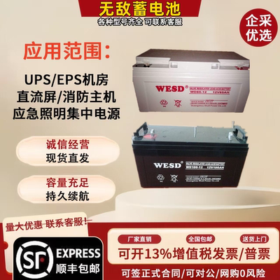 WESD无敌蓄电池12V7A12A24A38A65A100A电梯直流屏UPS/EPS应急电源