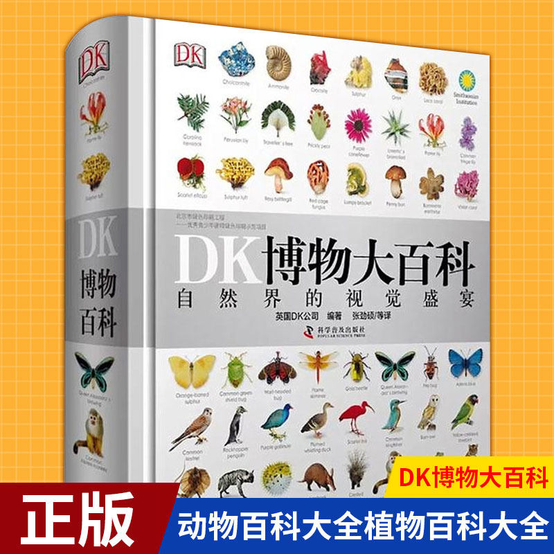 现货 DK博物大百科  DK儿童数学思维手册 认知启蒙绘读物本小学生 益智游戏科普大百科图画书怎么看?