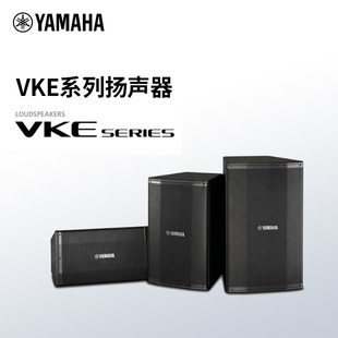 专业舞台会议音响10寸 Yamaha VKE2010 15寸音箱室外 雅马哈 12寸