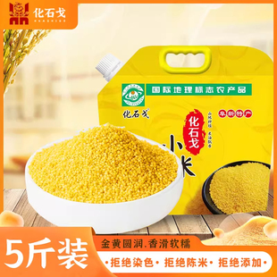 5斤化石戈小米25年新米食用米小米黄小米粥小黄米粮食小米杂粮