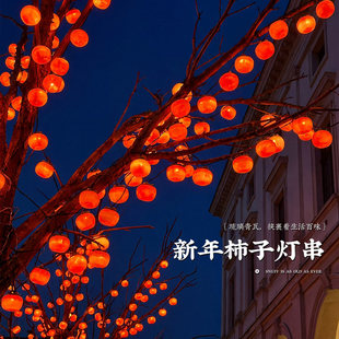 新年装饰灯太阳能柿子灯笼灯串春节彩灯过年氛围灯led挂树上灯带