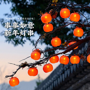 2026新年小彩灯柿子灯笼灯串春节装饰灯过年氛围灯led挂树上灯带