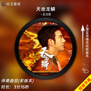 伴奏音乐高清MP3带字幕MP4视频背景无损WAV 原版 天地龙鳞 王力宏