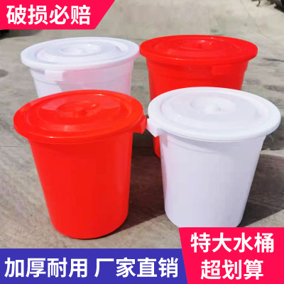 塑料桶特大加厚水桶家用储水用带盖大号经济型小酵素桶发酵桶大桶