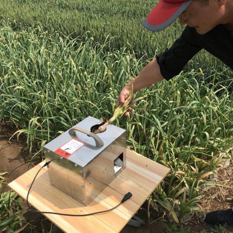 大蒜剪胡机切杆剪蒜头剪根电动收割机切蒜机分蒜去胡收蒜机切