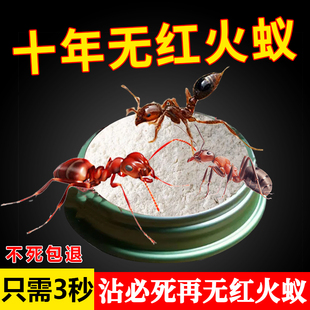 红火蚁药全窝端专用药农用菜地非无毒家用户外红蚂蚁虫卵双杀xf