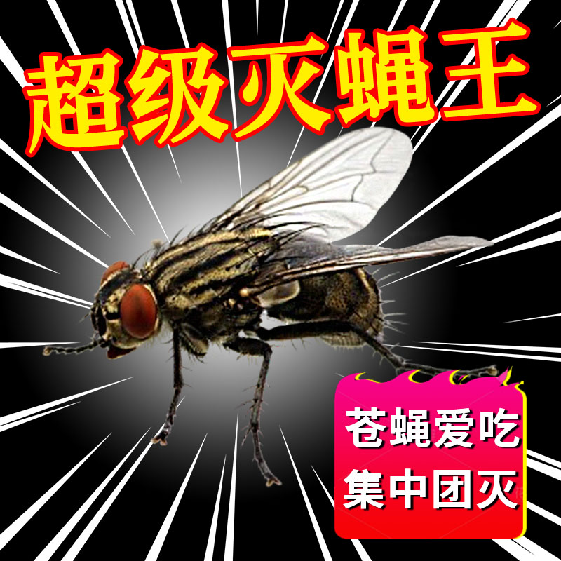 苍蝇蚊子消灭神器杀虫剂诱饵料室外引诱药专神家用养殖场灭蝇王xf