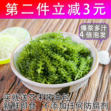 鱼臻多即食海葡萄海洋蔬菜新鲜海藻绿色鱼子酱寿司海菜长寿菜100g