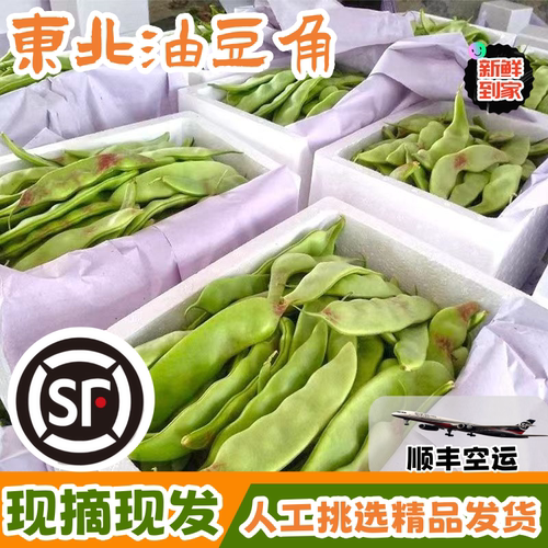 顺丰空运新鲜到家东北油豆角