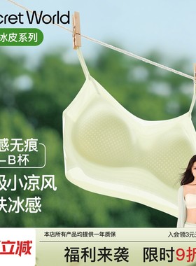 SecretWorld细肩带内衣女小胸聚拢夏季超薄款透气无痕新款文胸罩
