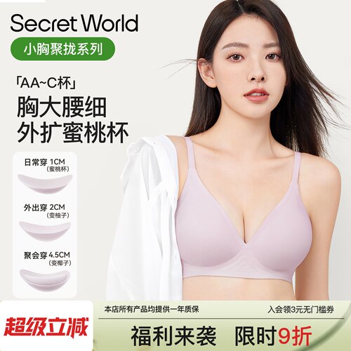 【粉丝福利69折】SW外扩内衣女小胸聚拢显大无痕辣妹漫画 画胸文