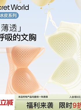 secretworld内衣女小胸聚拢夏薄款网孔透气舒适无痕防下垂文胸罩