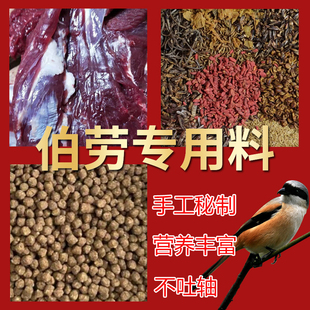 棕背伯劳鸟专用饲料仿生态防吐轴鸟食老野转食料绿鹃卷尾饲养鸟粮