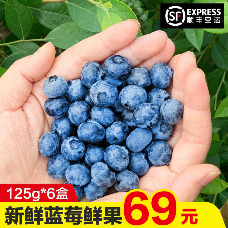 蓝莓鲜果蓝莓新鲜当季水果国产125g*6盒孕妇宝宝蓝梅顺丰现摘在类目 水产肉类/新鲜蔬果/熟食, 新鲜水果, 蓝莓中 - 来自Buy2taobao.com提供专业的淘宝代购服务