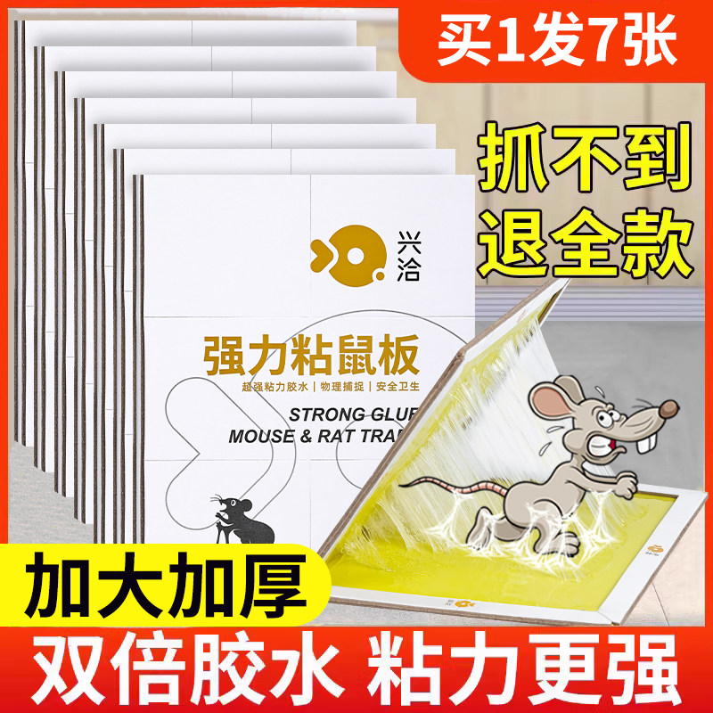 RATS ARE STICKY STICKY HOME KITCHEN GENUINE RAT CATCHER NON-DRUG CLAMP TRAP