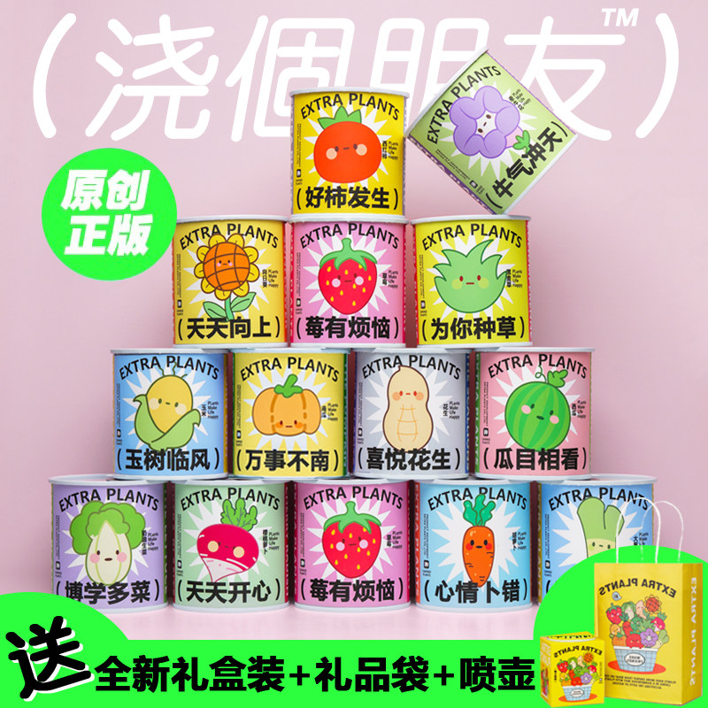 绿植小盆栽办公室神奇植物室内迷你桌面儿童种植罐头盲盒情绪稳定