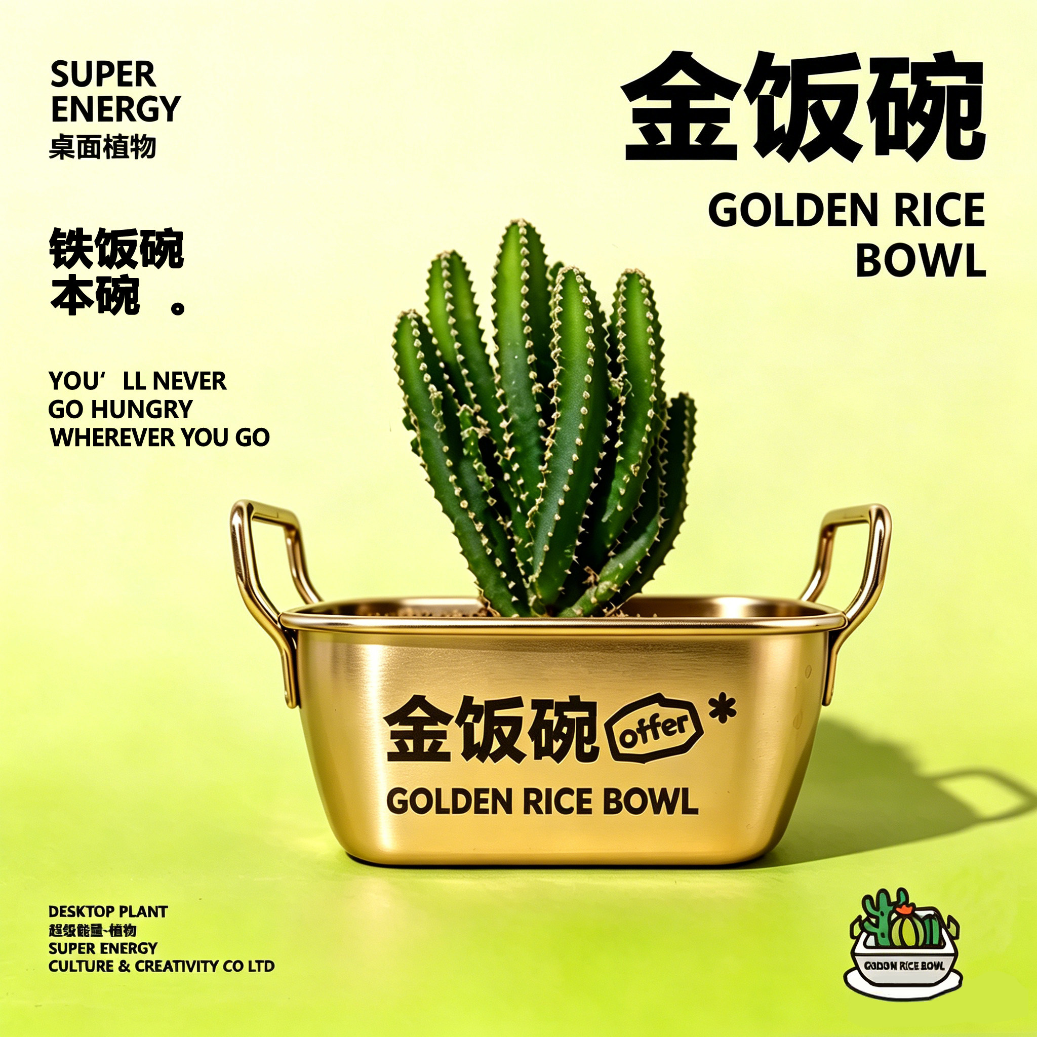 金饭碗仙人掌桌面盆栽植物组合铁饭碗创意毕业礼物好养绿植小礼品
