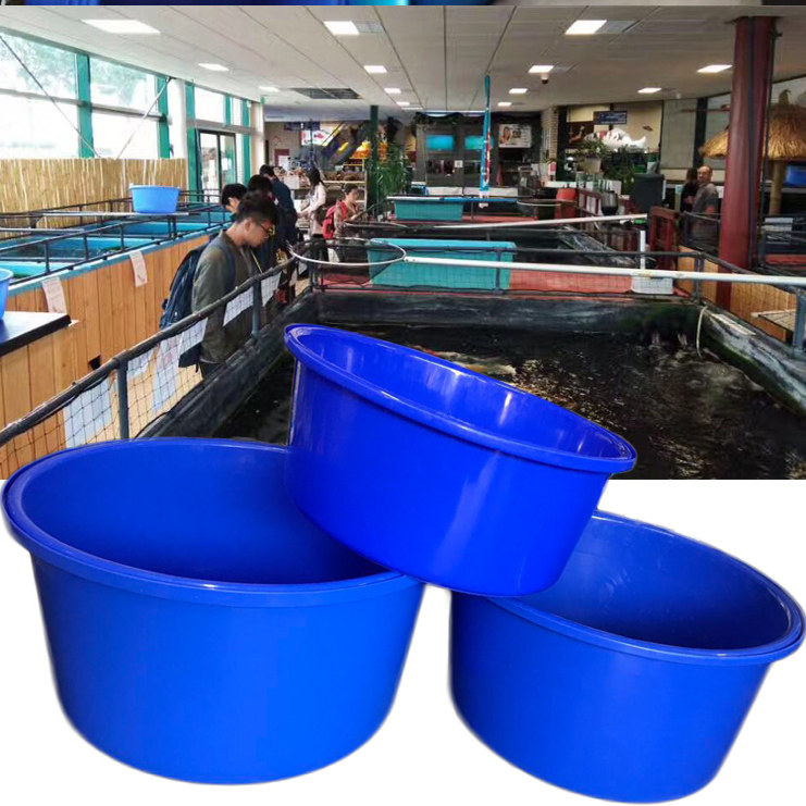 锦鲤蓝盆渔场周转暂养大型展会比赛塑料盆移动鱼池测量盆尺寸盆,宠物/宠物食品及用品,桌面缸,淘宝优惠券,粉丝福利购,淘宝优惠卷