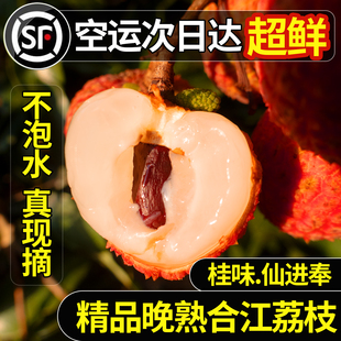 四川泸州合江荔枝白糖罂新鲜水果当季现摘现发老树桂妃子味笑顺丰