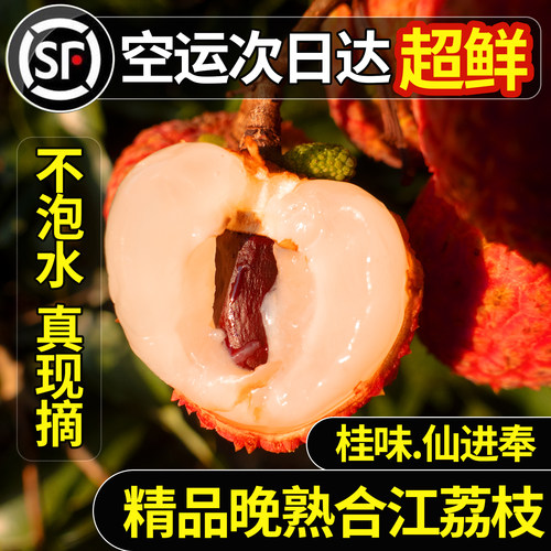 四川泸州合江荔枝白糖罂新鲜水果当季现摘现发老树桂妃子味笑顺丰