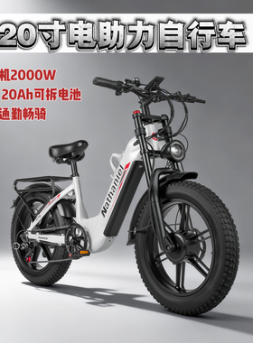 Nathaniel双驱动2000W电助力车20寸胖胎20Ah可拆卸电池通勤代步车