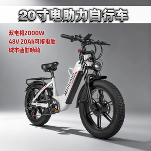 Nathaniel双驱动2000W电助力车20寸胖胎20Ah可拆卸电池通勤代步车