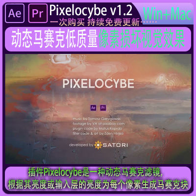AE/PR插件-动态马赛克滤镜 低质量像素损坏视觉插件 Pixelocybe