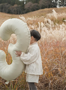 国产奶油数字生日户外拍照道具装饰宝宝周岁日式简单纯色气球布置