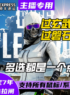 PuBG求生绝地压分枪一个点主播同款AT吃鸡u盘芯片无后
