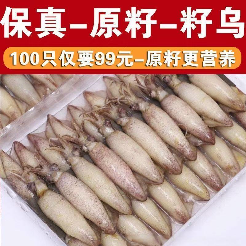 原籽籽乌满籽海兔新鲜无沙海兔子