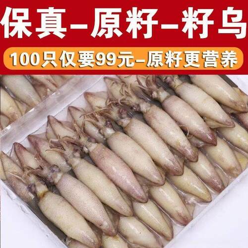 原籽籽乌满籽海兔新鲜无沙海兔子
