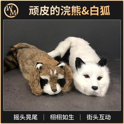 顽皮的浣熊魔术道具魔术天下