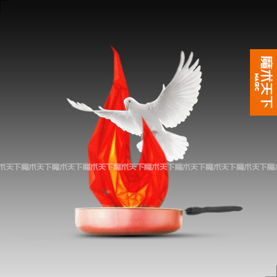 魔术天下 炒锅出鸽(Cook on Fire) 空锅出物 舞台出鸽 魔术道具