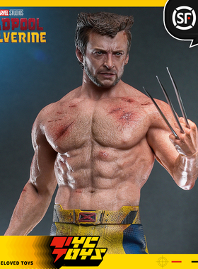 【TYCTOYS】现货 HOTTOYS HT死侍与金刚狼休杰克曼TVA MMS756人偶