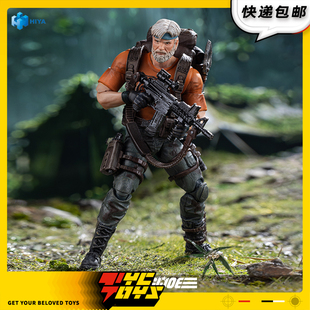 【TYCTOYS】定金预售 HIYA海雅EM特种部队内陆老虎力量版EMG0478
