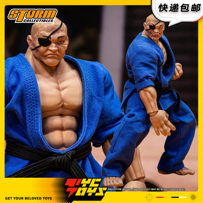 【TYCTOYS】定金预售 STORM TOYS漫画刃牙愚地独步特别版KIBK06SP