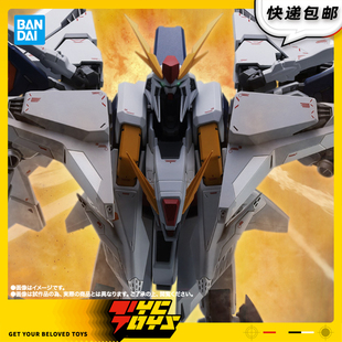 【TYCTOYS】定金预售 万代魂限ROBOT魂R魂柯西高达闪光的哈萨维