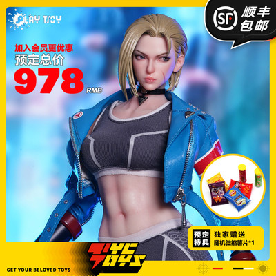 【TYCTOYS】现货 PLAY TOY格斗女战士6代1/6可动人偶手办NOP027