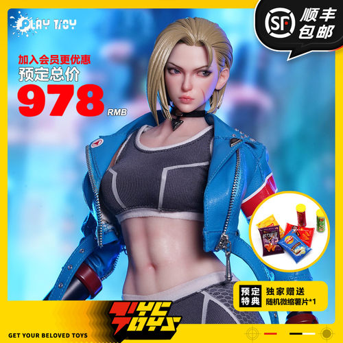 【TYCTOYS】分批出货 PLAY TOY格斗女战士6代1/6可动人偶NOP027