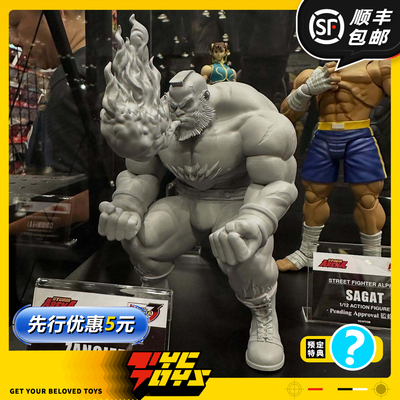 【TYCTOYS】定金预售 STORM TOYS ST ARENA街头霸王桑吉尔夫1/12