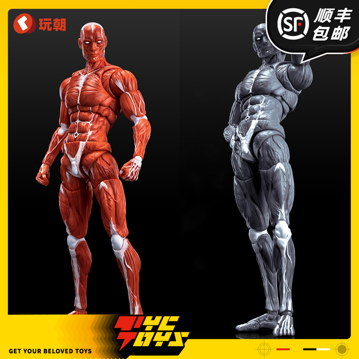 【TYCTOYS】现货 玩朝玩具1/12超可动人体肌肉素体模型成品人偶