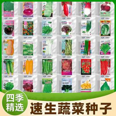 蔬菜种子大全四季青菜种植种籽萝卜籽白菜茼蒿线椒王马齿苋生菜籽