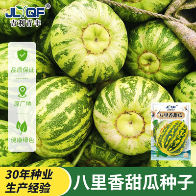 八里香甜瓜种子香瓜种籽南方四季庭院特甜早熟超甜十里香甜瓜籽种